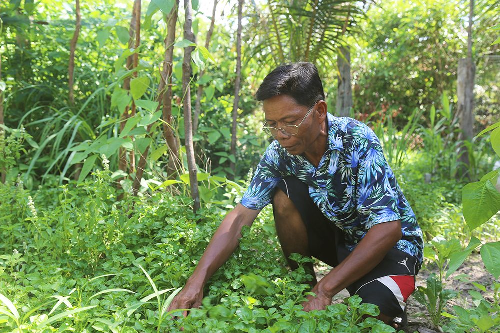 Phat is working in his garden. 