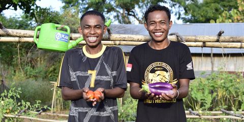 Big dreams in the backyard