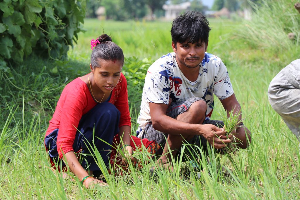 Melina and Suman working in their farm