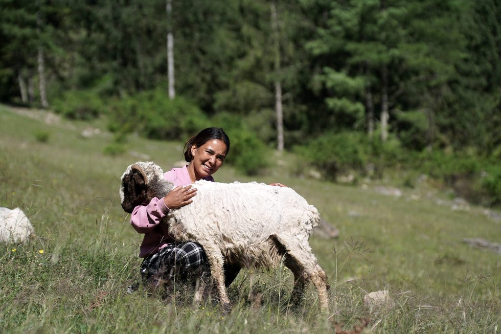 In the countryside, Shivalaxmi is holding her sheep in her farm.