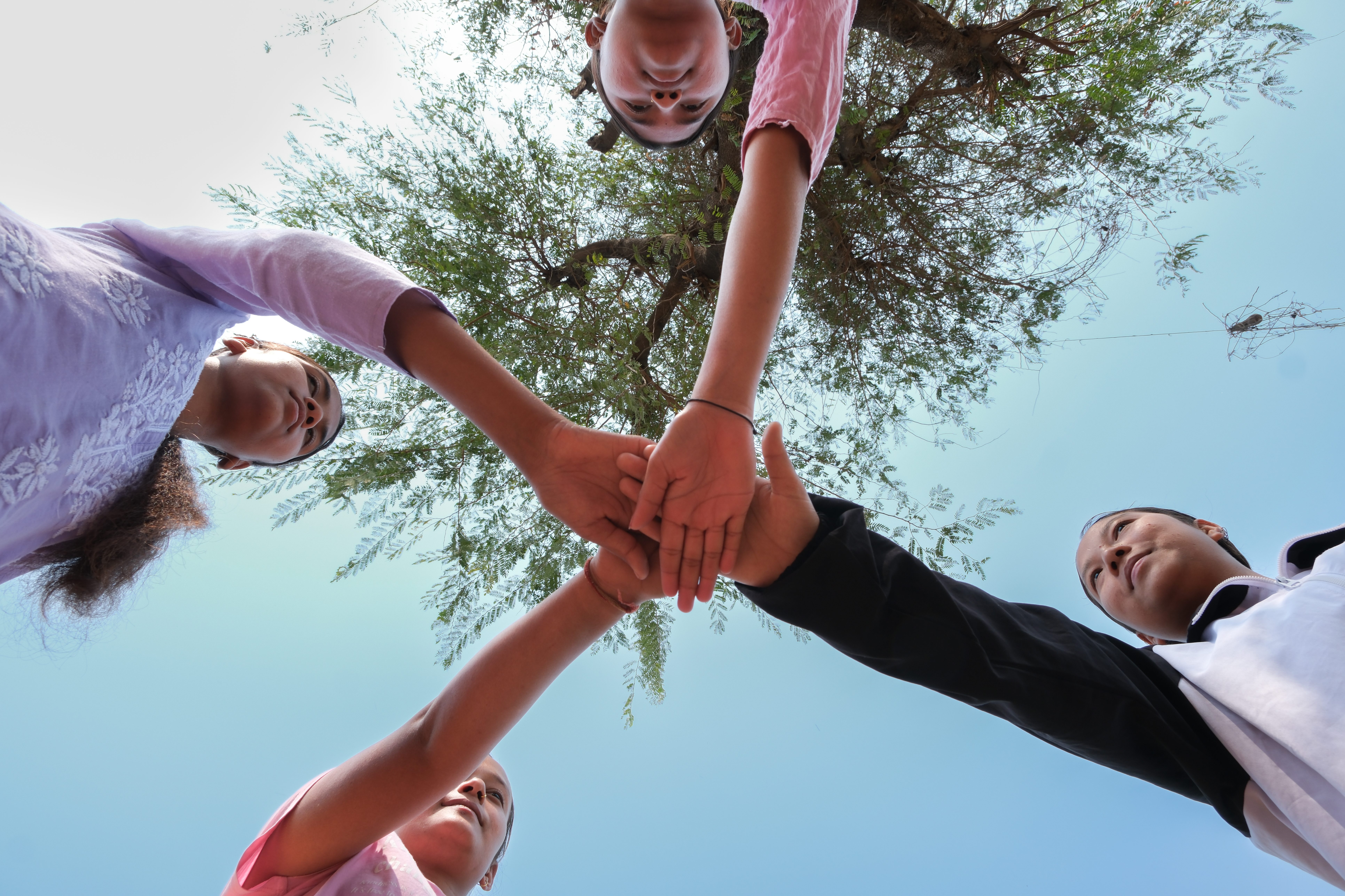 Four girls holding their hands captured from the low angle where the tree can be also seen.