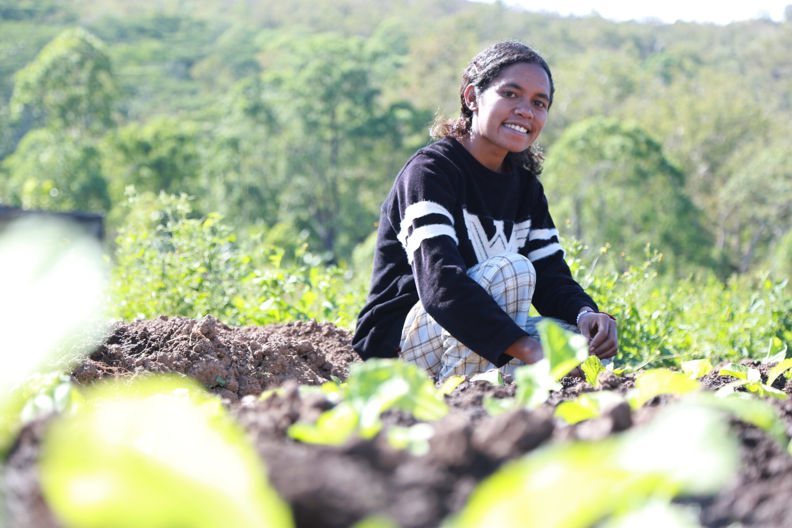 Abin is tending vegetables. 