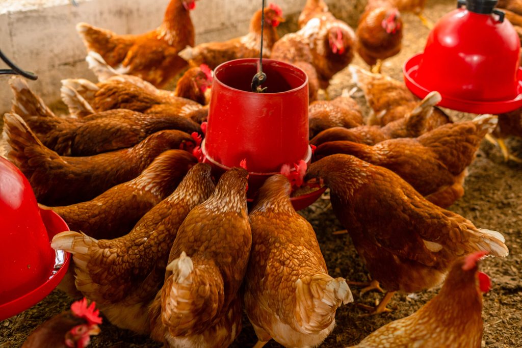 Emprendimiento-de-Sandra