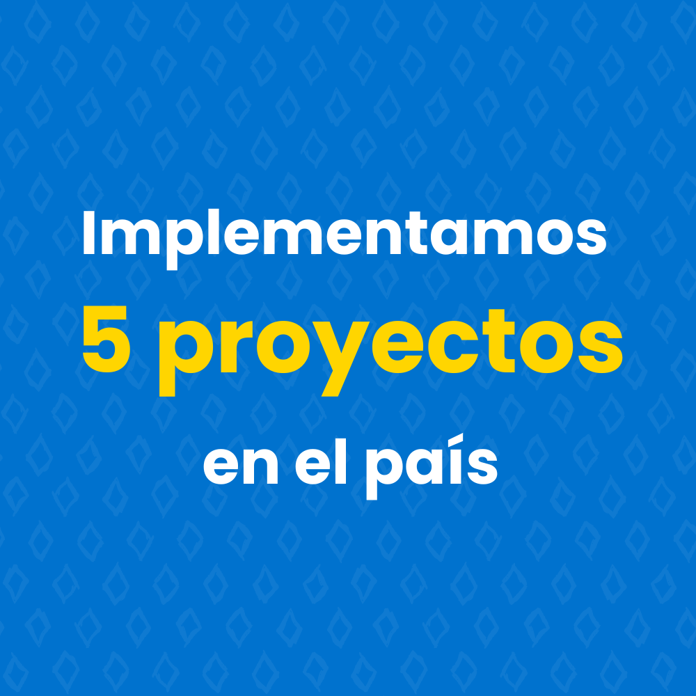 Gráfico: Implementamos 5 proyectos en el país.